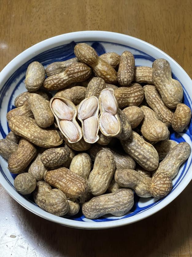 無農薬生落花生（おおまさり）1kg ｜ 野菜/豆類 産直アウル 農家・漁師