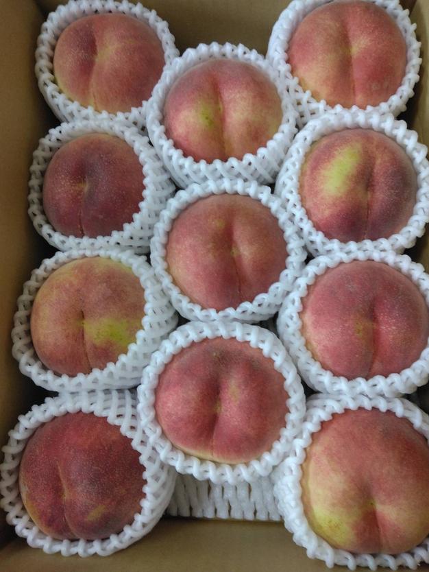 限定出品 硬めの桃 希少品種美郷 | 果物/もも 産直アウル 農家