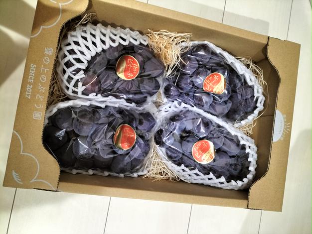 ピオーネ4kg（岡山県産・種なし） | 果物/ぶどう 産直アウル