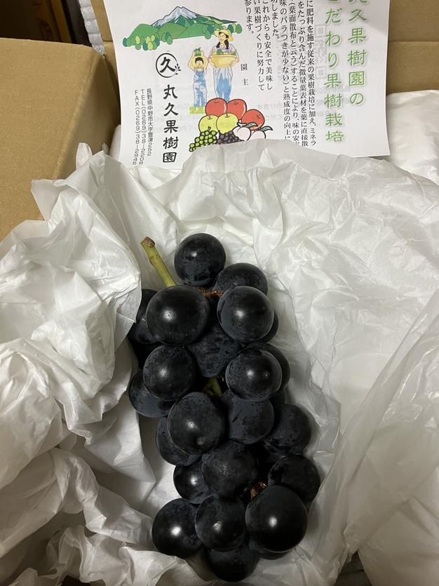 信州産巨峰（種あり）信州産巨峰4kg（10房前後） | 果物/ぶどう 産直