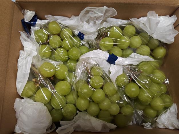 減農薬・有機肥料・除草剤不使用 化粧箱2房入り 約1kg