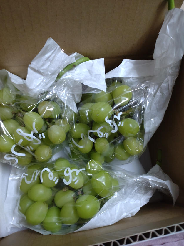 山梨県産 訳あり 家庭用 シャインマスカット 10房 箱込み5.2kg ⑦