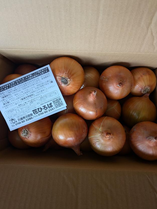 大江のり　13本セット 大江のり 13本セット 大江のり 13本セット 大江のり | 商品紹介 |