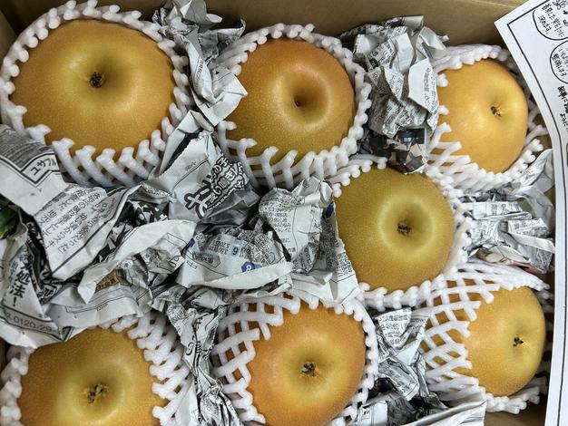 mizu様専用ページ みず様専用ページ しろし みず様専用 ミズ様専用