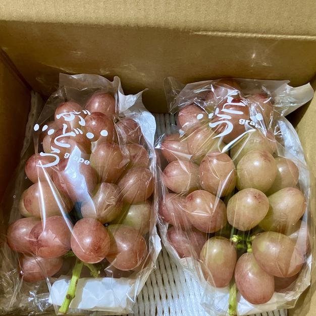 ルージュ訳あり 5キロ 専用 【公式通販】