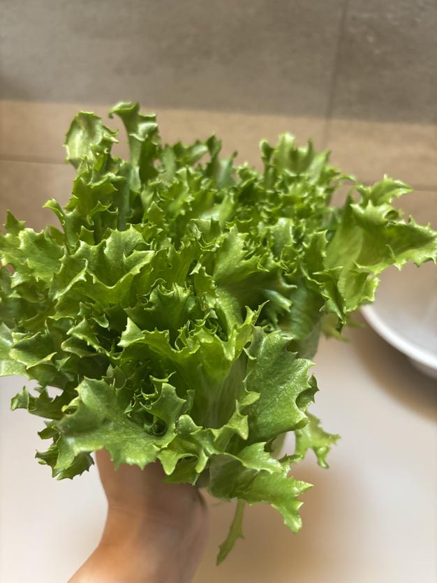 栽培時農薬不使用】お任せ葉物野菜1㎏ | 野菜/野菜セット・詰め合わせ