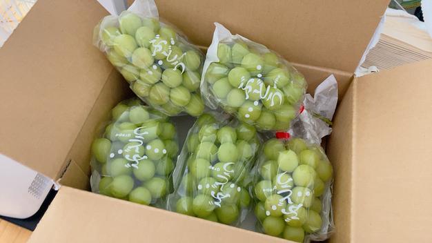 シャインマスカット 約2kg （4房〜5房） ｜ 果物/ぶどう 産直アウル