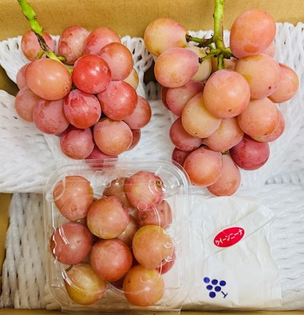 甘～いぶどう！】#種なし【長野県産 クイーンニーナ】（計2房） | 果物