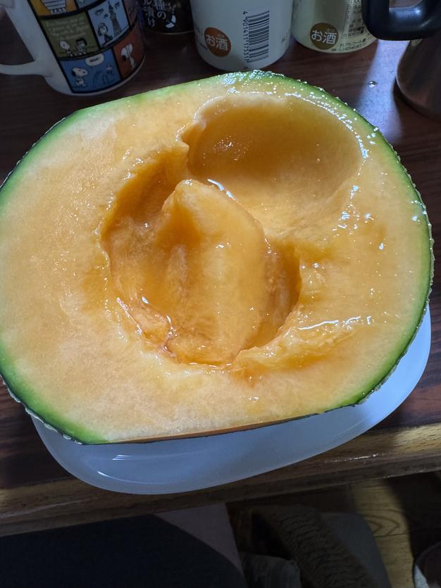 北海道 富良野メロン 赤肉 8玉 ✖︎2箱有機肥料 超減農薬 農家直送(15) 北海道より産地直送 富良野メロン (赤肉) 大玉2玉入り化粧箱