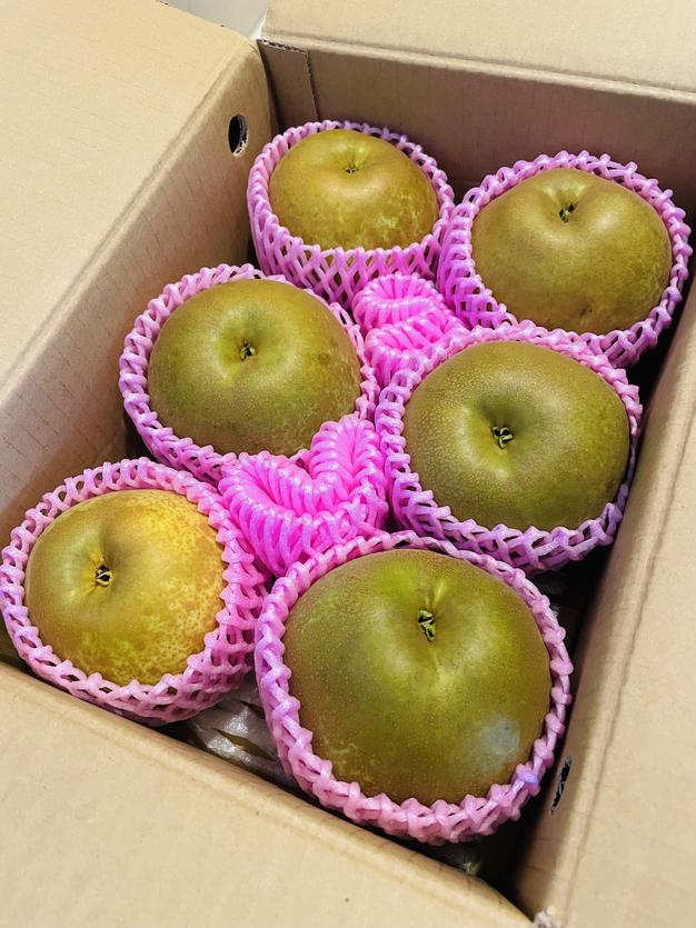 最終販売！甘太 3kg箱(3〜7個入り) ｜ 果物/梨 産直アウル 農家・漁師