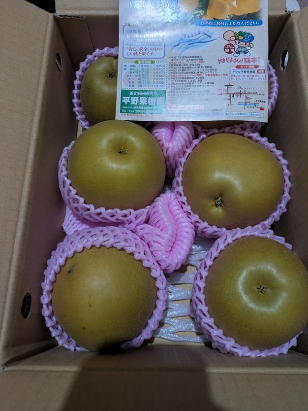 最終販売！甘太 3kg箱(3〜7個入り) ｜ 果物/梨 産直アウル 農家・漁師