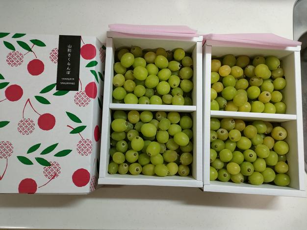 シヤインマスカット完熟多め入り三キロ粒パック入り