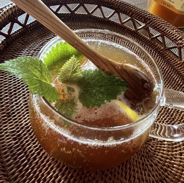 無農薬、無化学肥料の新生姜500g | 野菜/薬味 産直アウル 農家