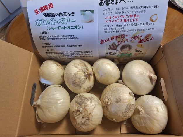 訳ありホワイトベアー2kg🧅淡路島極熟玉葱 新玉ねぎ サラダ用