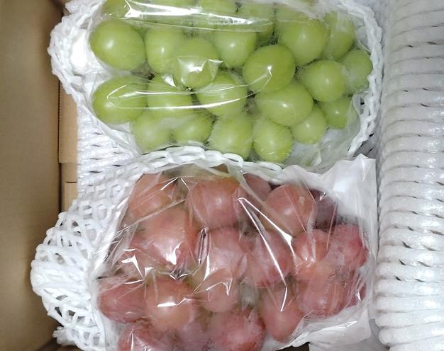 家庭用】クイーンルージュ＆シャインマスカット1kg（各1房）／本気農場