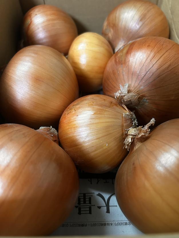 ま*ん様 淡路島産令和6年度新米コシヒカリ 27キロ精米済