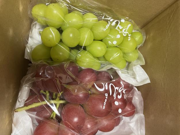 訳あり2】クイーンルージュ®︎、シャインマスカットセット(各1房