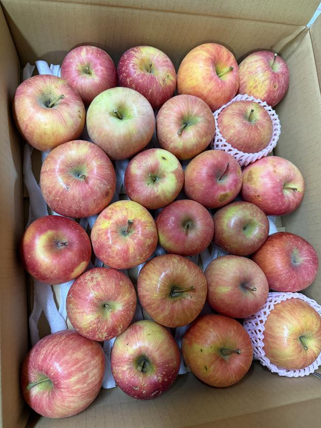 残り2名様 秋田産 りんごジュース 6箱（120袋入り）送料込み【品種は