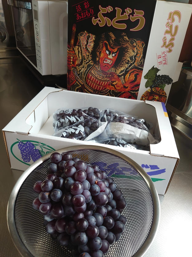さくさんが Three Farm の 完熟ぶどうの極み！青森スチューベン 2kg