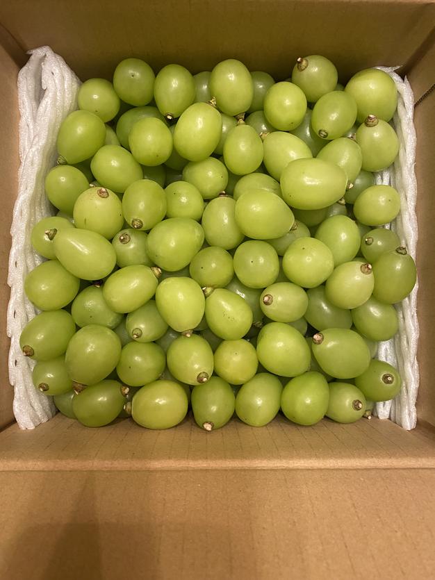 ③早生ワッサー家庭用10キロ 11 早生ワッサー家庭用10キロ