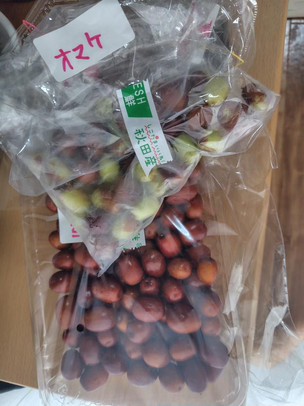 天然アミタケ　採りたて　青森産 天然 アミタケ 採りたて 青森産 夫婦でキノコ採り』ハナイグチ