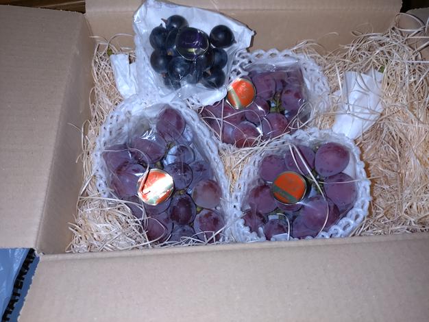 ニーナバイオレット3BOX バイオレットキング3房800g以上+クイーンニーナ訳アリ500gパック