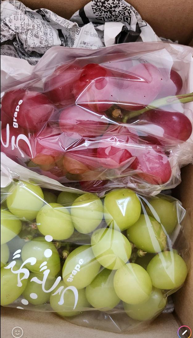 訳あり2】クイーンルージュ®︎、シャインマスカットセット(各1房