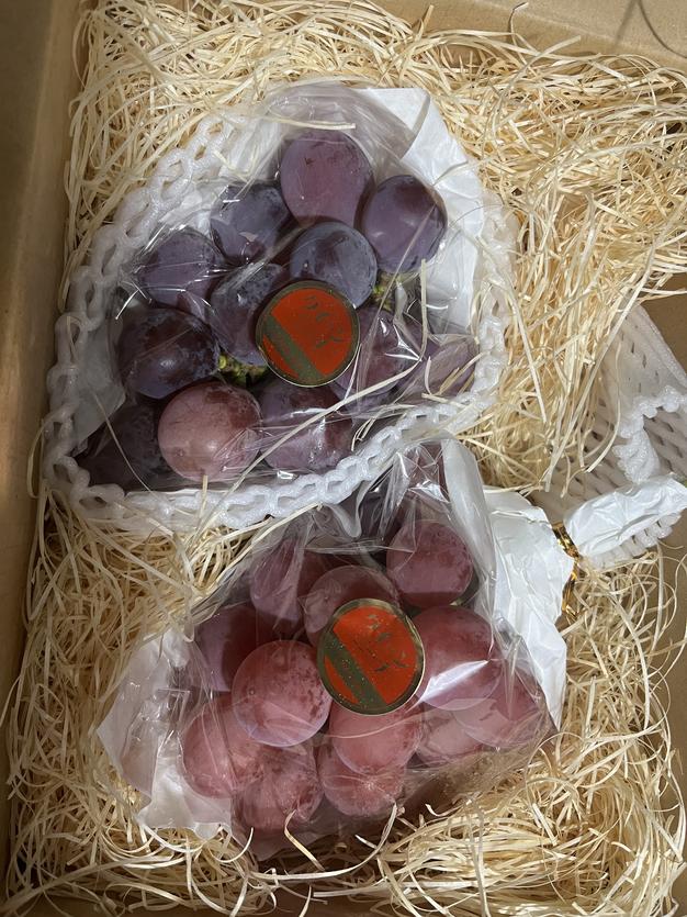 ニーナバイオレット3BOX バイオレットキング3房800g以上+クイーンニーナ訳アリ500gパック