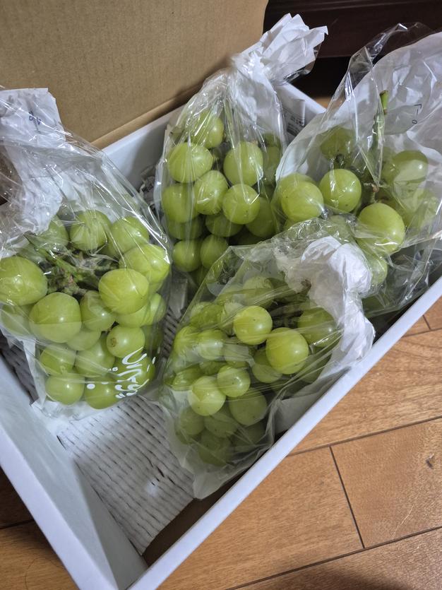 すぐ発送！約1.7キロ3-5房入樹上完熟シャインマスカット- 家庭用訳あり