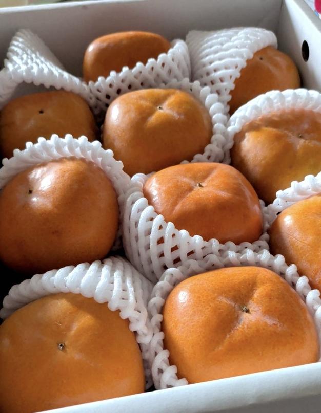 和歌山の希少な柿 紀の川柿 家庭用 | 果物/柿 産直アウル 農家から直接