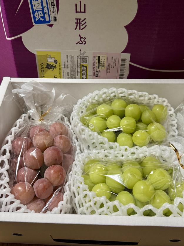 加工用シャインマスカット2.8キロ前後 | 果物/ぶどう 産直アウル 農家