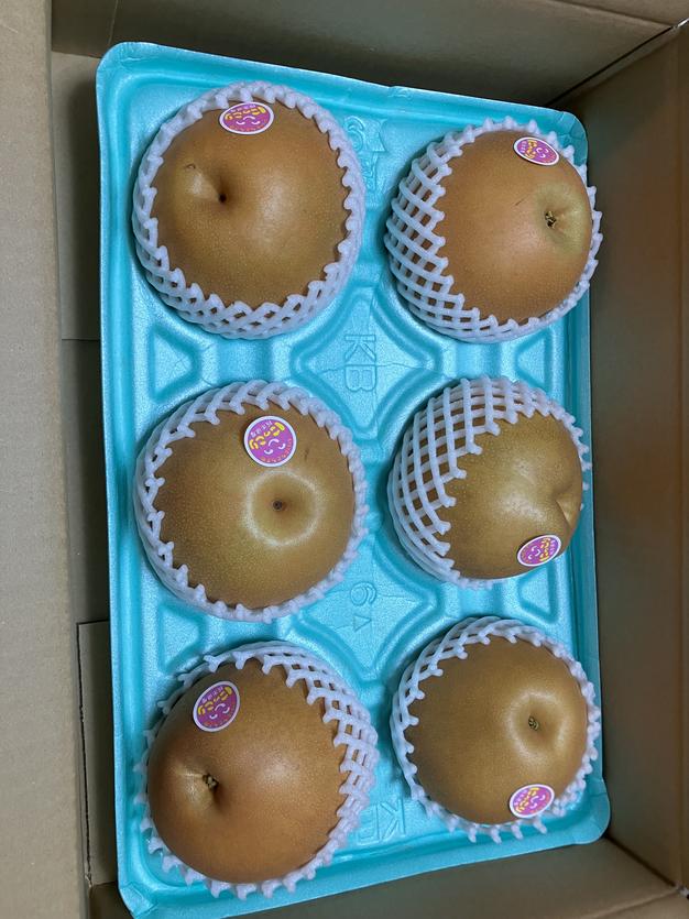 大玉値下げしました！曽篠梨園の幸水梨6玉から9玉の大玉！（サイズは
