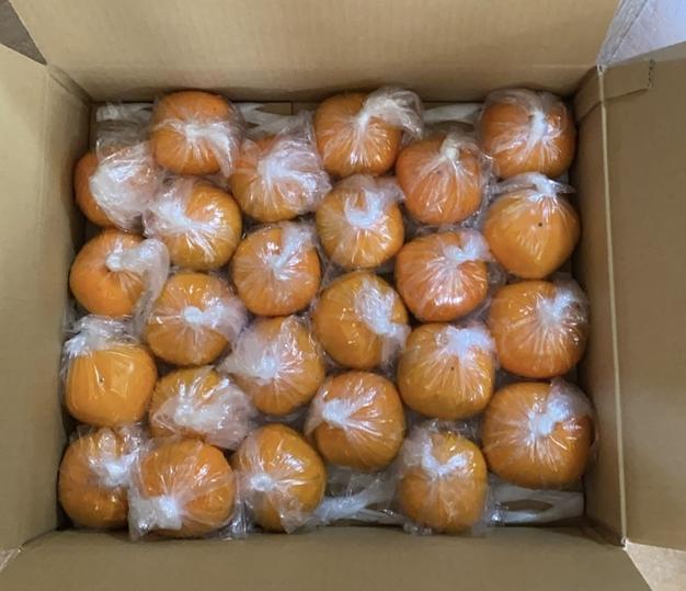 渋柿 平核無柿5.5kg 20~25個 | 果物/柿 産直アウル 農家から直接野菜