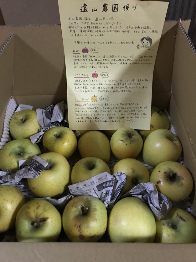 とっても訳あり品】シナノゴールド 10kg超 長野県産りんご 加工向け