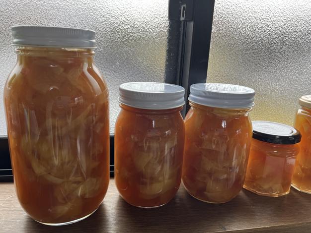 土付き新生姜 3キロ | 野菜/薬味 産直アウル 農家から直接野菜などの