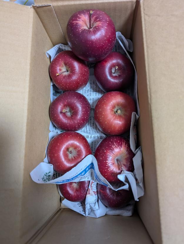 北海道産りんご レッドゴールド3kg（約12-18） | 果物/りんご 産直