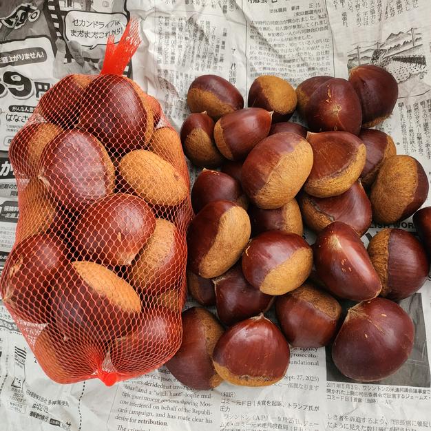 茨城のうまい栗（利平）約2kg | 果物/栗 産直アウル 農家から直接野菜