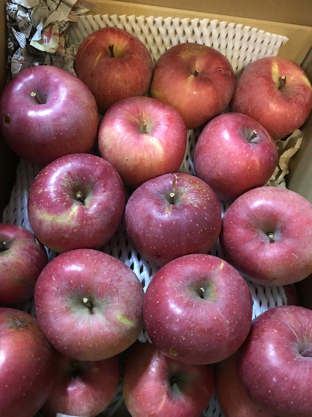 とっても訳あり品】サンふじ 10kg超 信州りんご 加工向け（生食もOK