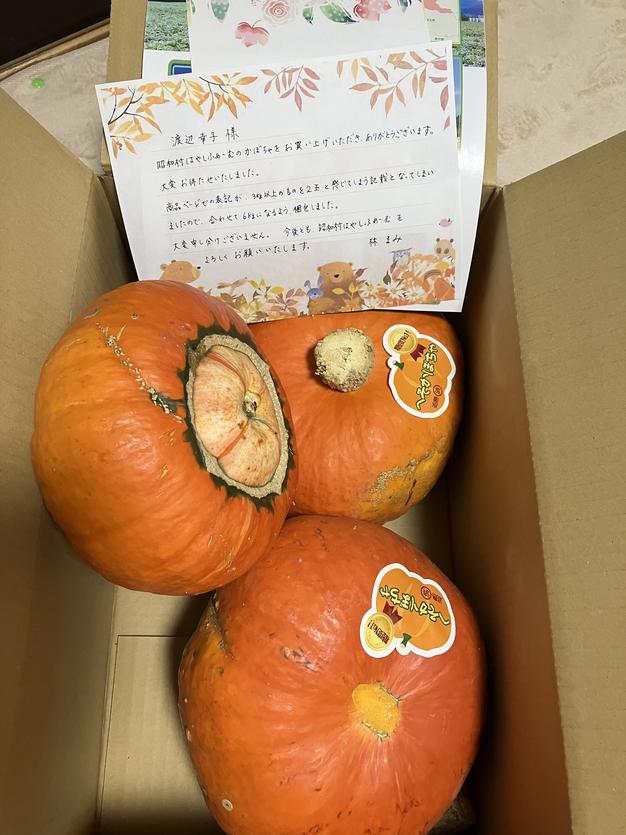 ホクホク🎃あまあま🎃薄皮【へそかぼちゃ】3㎏以上 2玉 ｜ 野菜
