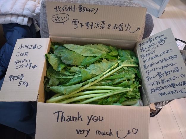 コリコリ食感！ひぐらし農場の『茎レタス（ステムレタス）』 | 野菜