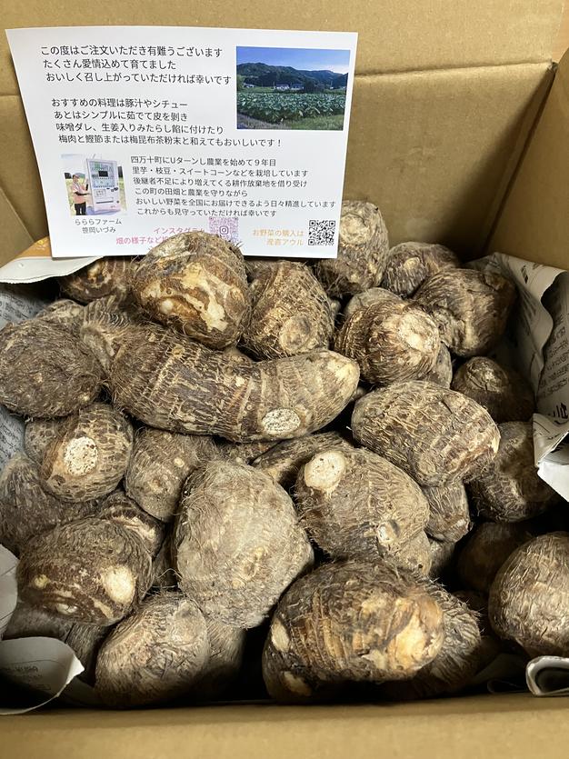 里芋Sサイズ 4.5kg | 野菜/里いも 産直アウル 農家から直接野菜などの