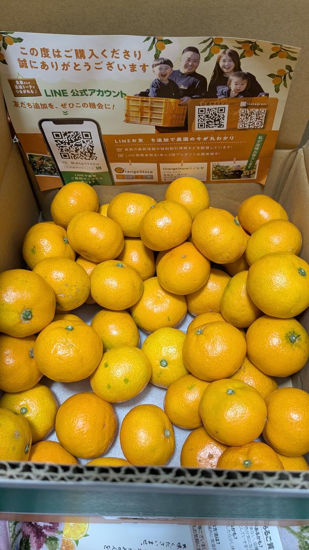 シャキ旨　甘平　愛媛県宇和島市産 送料無料】【シャキ甘♪♪】甘平 （箱込み2㎏） | 果物/オレンジ