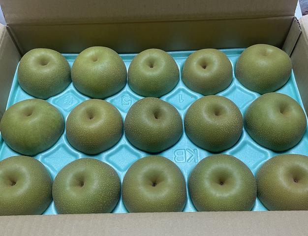 干し柿】市田柿170g×4パック | 果物/果物の加工品 産直アウル 農家から