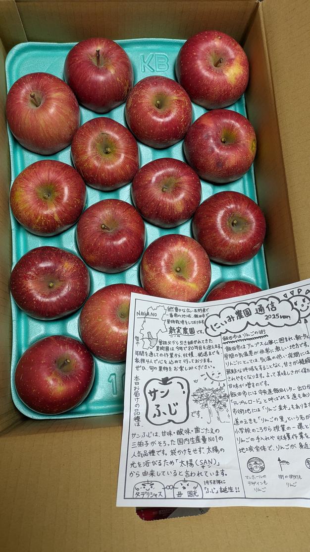 ご家庭用 サンふじ 約10kg 長野県産 | 果物/りんご 産直アウル 農家