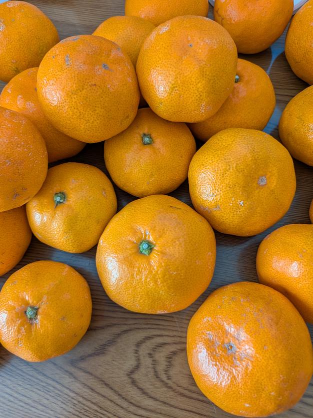 リピーター続出の人気商品！『三ヶ日早生みかん』ご家庭用5kg | 果物