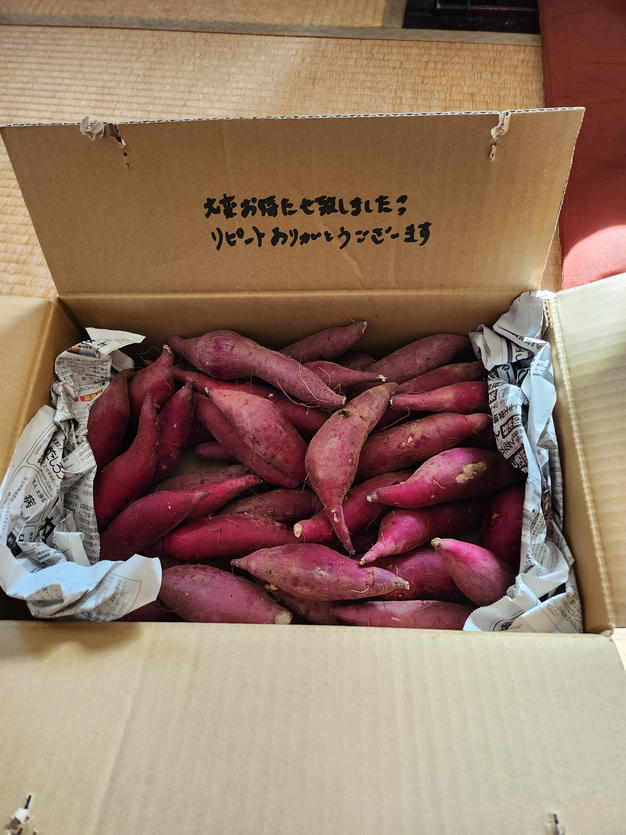 ☆規格外☆茨城県行方市特産 新さつまいも(紅はるか) 箱込み約5kg