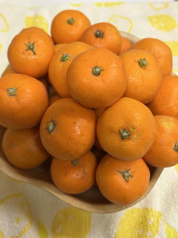 食品 令和7年絞りたて 瀬戸内産みかんの生蜂蜜1.2kg