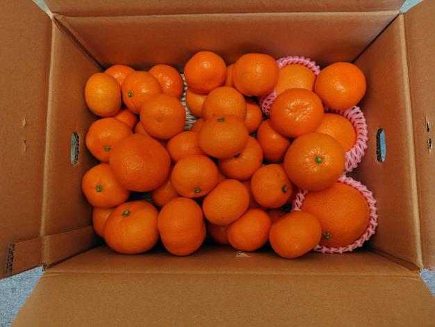 6周年限定】みかん4キロ＋まどんな600g ｜ 果物/果物セット