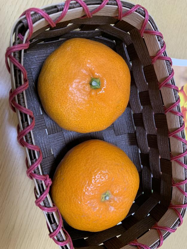 超大玉（4L以上） 有田みかん 9キロ | 果物/温州みかん 産直アウル