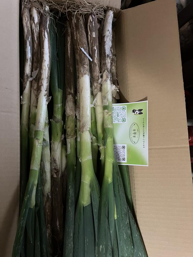 深谷ネギ　２０キロ　Kaka 楽天市場】深谷ねぎ 土付き 産地直送 本場の味 鍋料理 一本焼き ねぎ